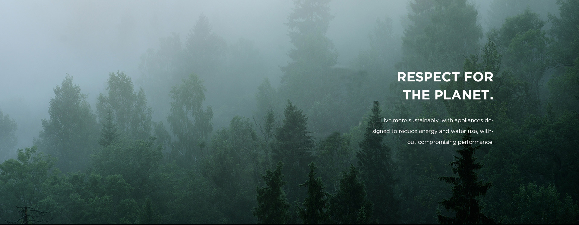 丁普乐外贸站建设