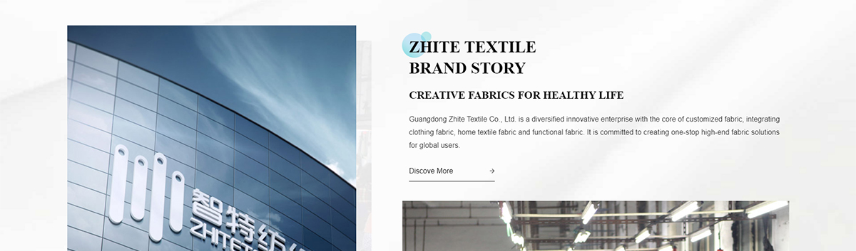 广东智特纺织有限公司